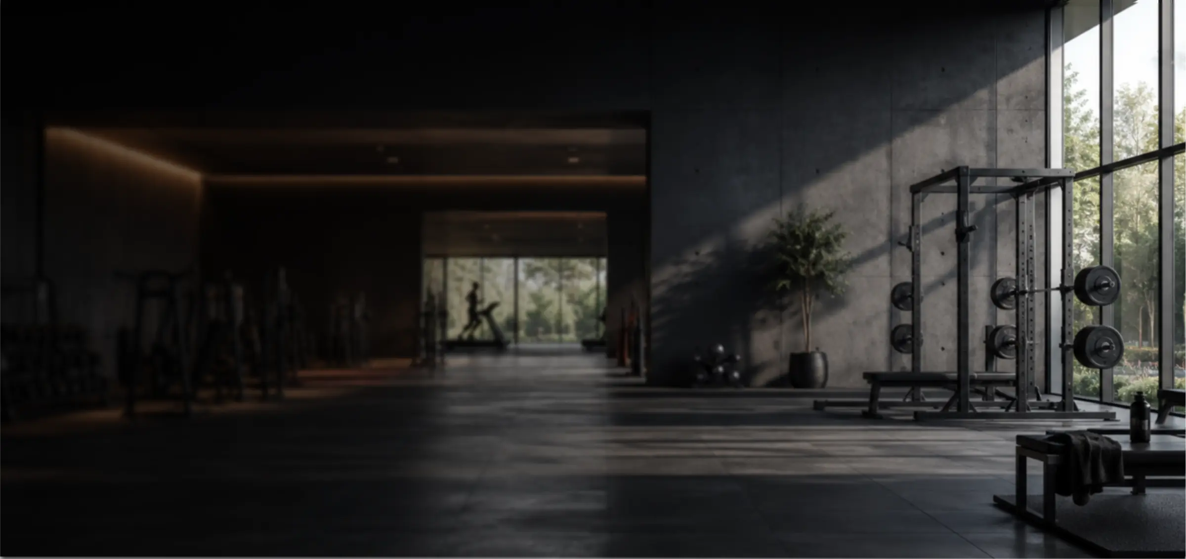 Commercial Outdoor and Indoor Gym Equipments